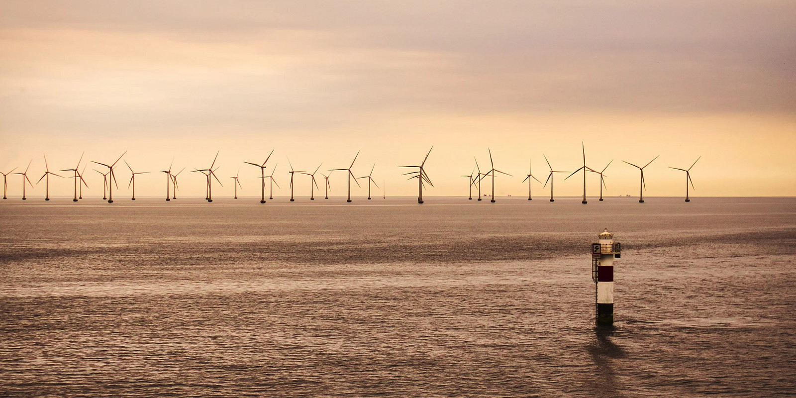 Offshore wind farm with multiple turbines on a calm sea under a warm evening sky.