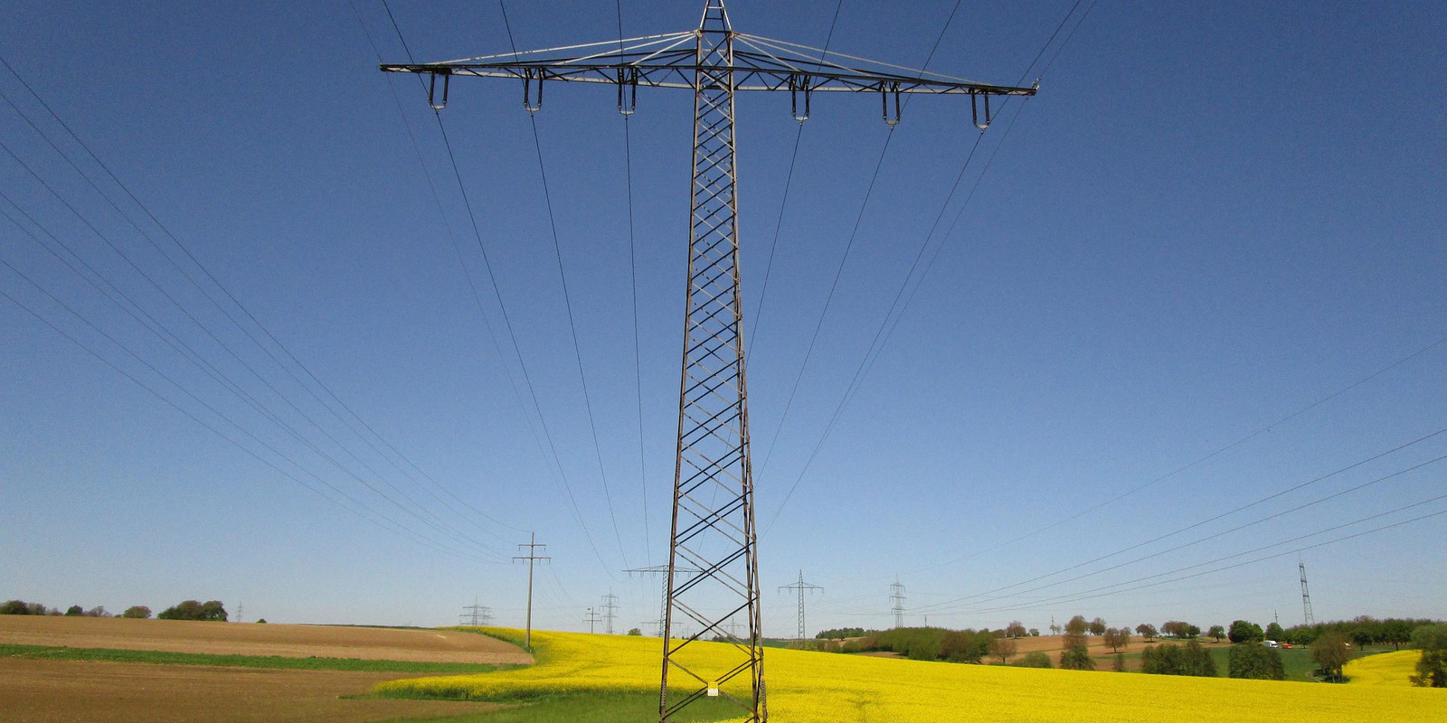 High-voltage overhead power lines running through a blooming rapeseed field